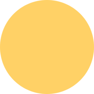 l1 full circle shape